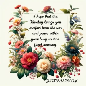 I hope that this Tuesday brings you comfort from the sun and peace within your busy routine. Good morning.