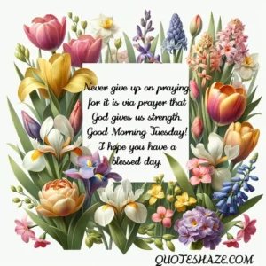 Never give up on praying, for it is via prayer that God gives us strength. Good Morning Tuesday! I hope you have a blessed day.