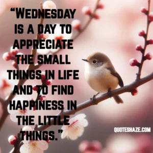 wednesday is a day to appreciate the small things in life and to find happiness in the little things.