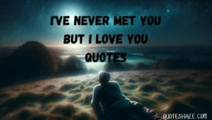 I've never met you but I love you quotes