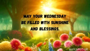 may your wednesday be filled with sunshine and blessings.