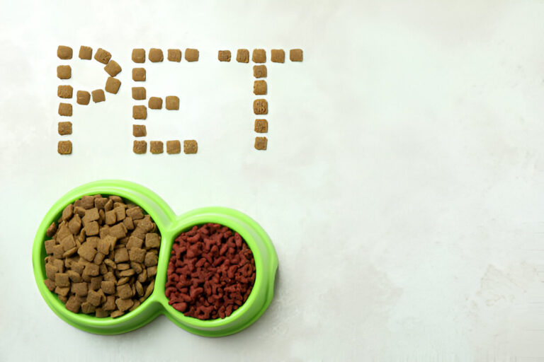 The Role of Human-Grade Dog Food in Reducing Allergies